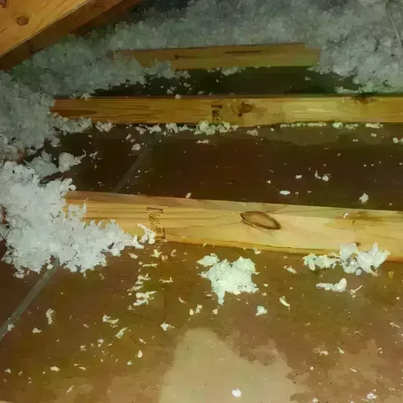 Attic Water Damage in Natrona County, WY