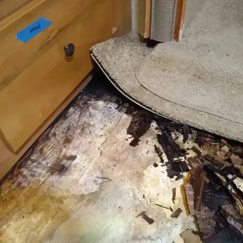 Wood Floor Water Damage in Natrona County, WY